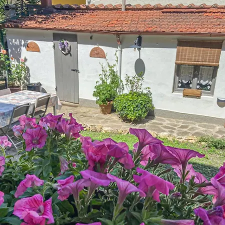 Appartement 1 Bedroom Lovely In Florence